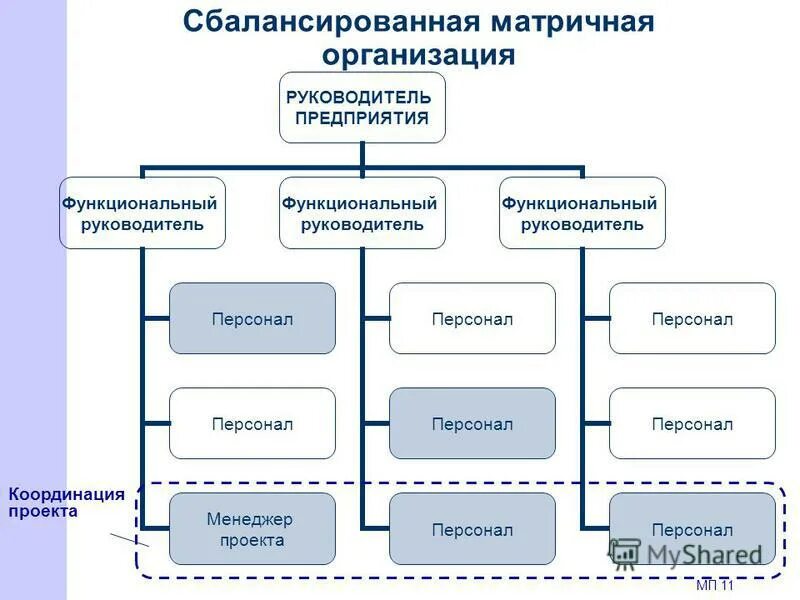 Функциональный менеджер проекта