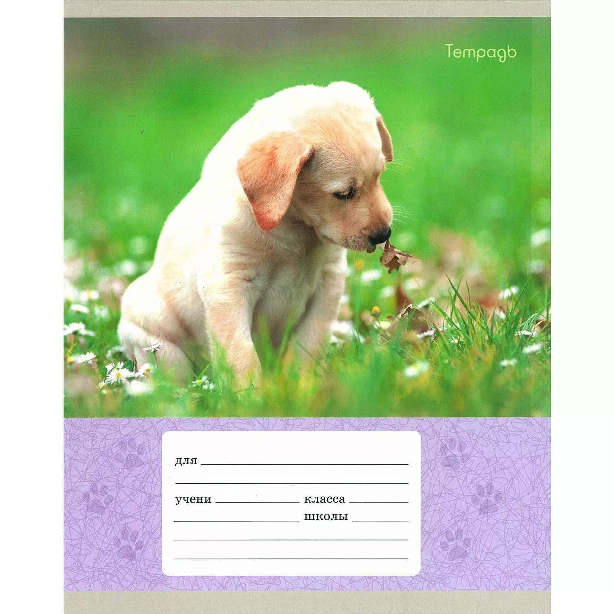 тетрадки со щенка и 48 л в клетку. тетрадь с собакой. тетрадь щенок. обложка на тетрадь собаки. обложка с собаками.