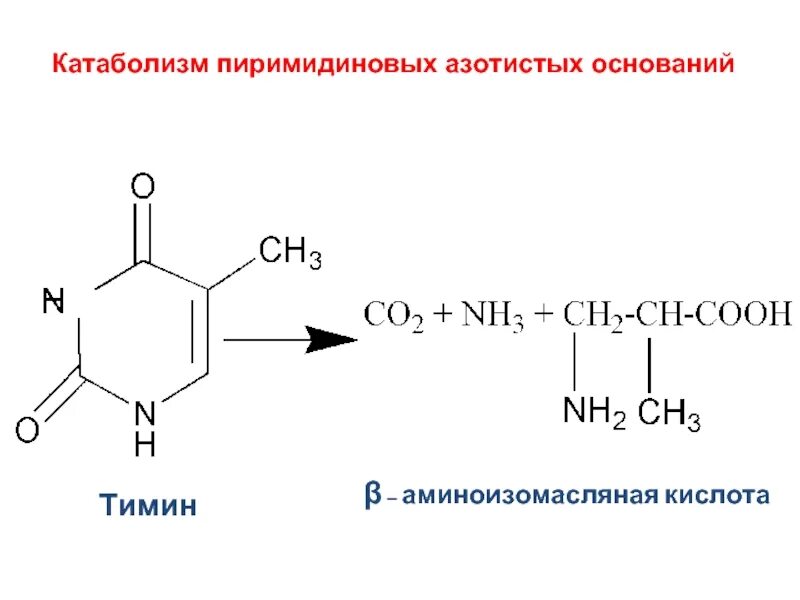 Азотистая кислота основание
