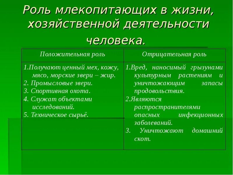 Значение млекопитающих кратко