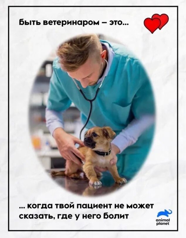 Доктор вылечите поскорее мою собаку