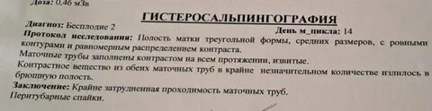 Анализ маточных труб