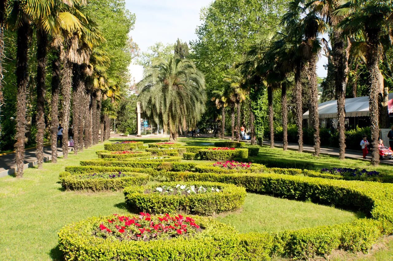 парк ривьера сочи. сочи центральный парк ривьера. адлер ривьера парк аттракционы. парк ривера сочи. сквер ривьера сочи.