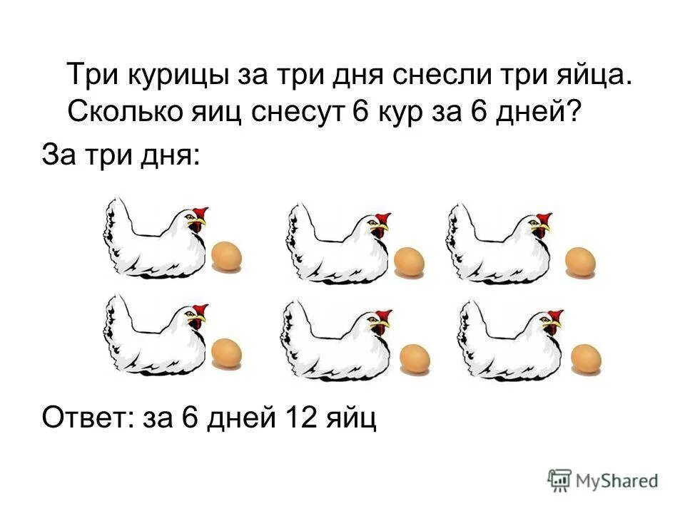 Задача сколько яиц. Сколько яиц несет курица. Сколько яиц несёт курица в сутки. Три курицы. Загадка про курицу.