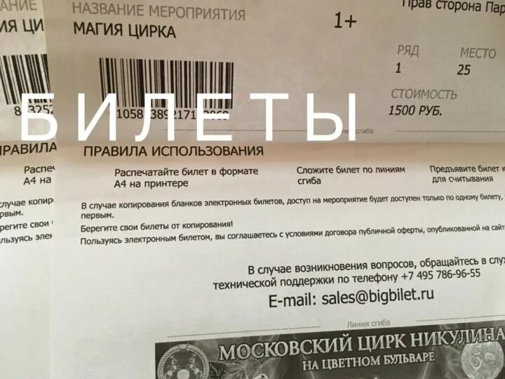 Как проверить подлинность билета на концерт. Электронный билет в цирк. Электронный билет цирк Никулина. Как выглядит билет в цирк. Как выглядит электронный билет в цирк Никулина.