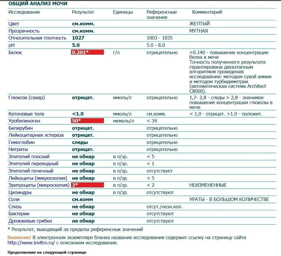 Анализ мочи обнаружен белок