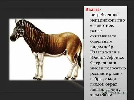 Какую книгу они занесена