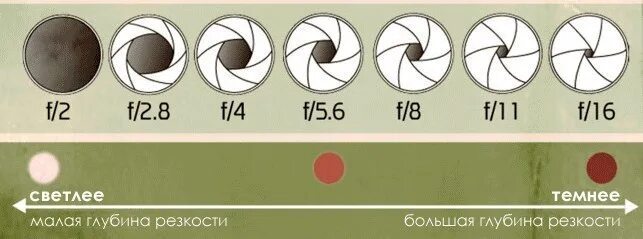 Диафрагма и глубина резкости. Глубина резкости в фотоаппарате. Грип глубина резкости. Диафрагма фотоаппарата глубина резкости. Глубина резкости в мире нет