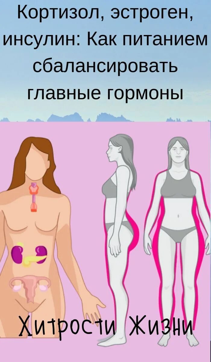 Гормоны производные холестерина. Синтез стероидных гормонов биохимия. Химическая структура стероидных гормонов. Кортизон гормон. Стероидные гормоны структура биохимия.