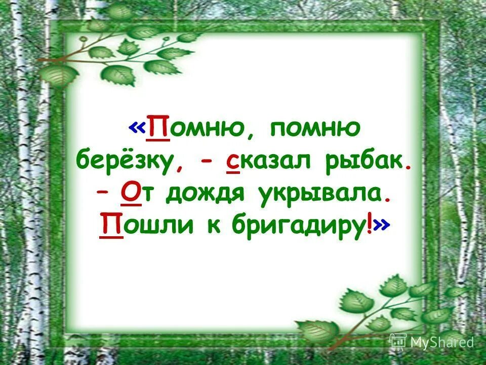 Изложение березки 5 класс. Изложение береза. Изложение горькая вода 4 класс презентация. Большое дерево от солнца и от ливня укроет.