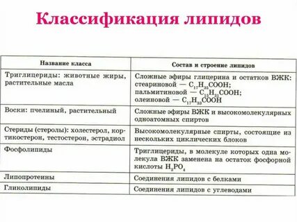 Свойства и особенности строения липидов