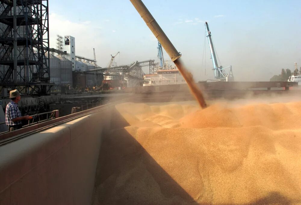 Импорт пшеницы Украина порт. Перевалка пшеницы в порту. Погрузка зерна на судно. Экспорт зерна.