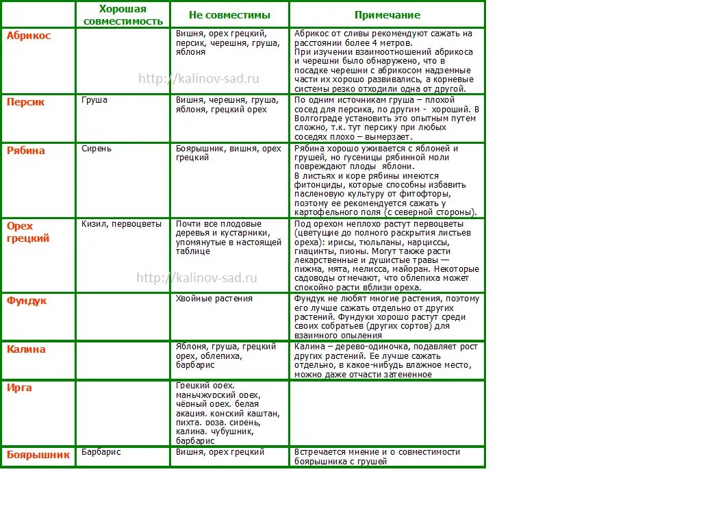 Деревья совместимость с другими. Совместимость плодовых деревьев и кустарников в саду таблица. Таблица совместимости плодовых деревьев и кустарников в саду таблица. Совместимость плодовых кустарников в саду таблица. Совместимость ягодных кустарников таблица.