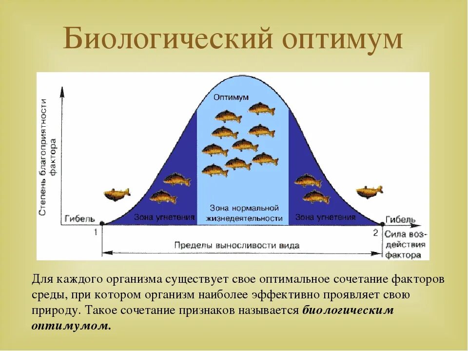 Закон оптимума это. Закон оптимума зона угнетения. Зона оптимума это в экологии. Закон оптимума примеры. Закон биологического оптимума.