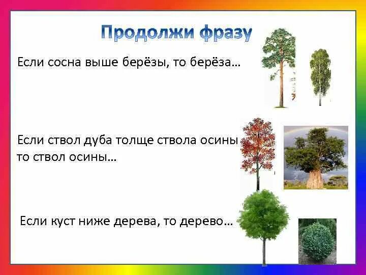 Береза выше ели. Сосна выше березы. Ствол дуба толще ствола березы. Дерево высокое а куст низкий. Высокое и низкое дерево.