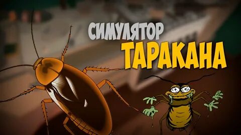 Тараканы муха