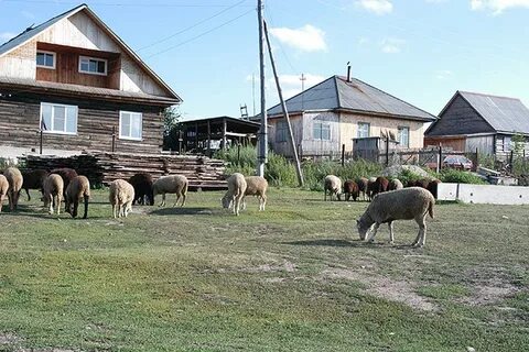 Село можно