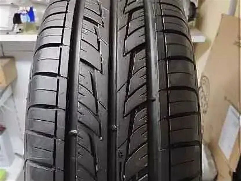 Cordiant road runner 205 60 r16 отзывы. 195/65r15 cordiant road runner 91h. Cordiant road runner ps-1 82h. 205/55 r16 cordiant road runner ps-1 94h. Cordiant road runner 205 60 r16 отзывы.