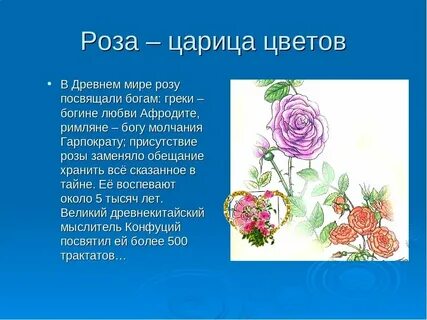 Научный текст про розу