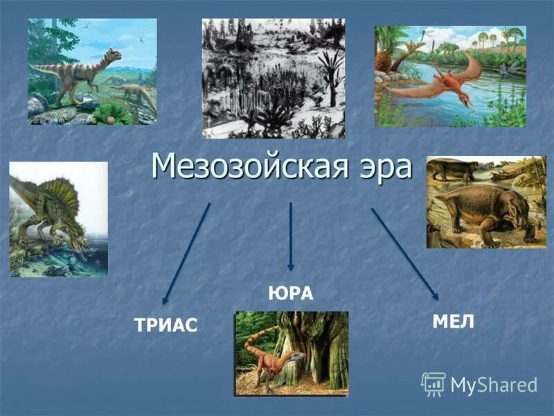 Мезозойская эра триас