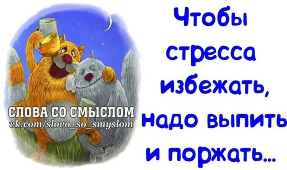 Все что мне сегодня надо просто быть. Слова со смыслом. Слова со смыслом в картинках смешные. Цитаты со смыслом прикольные. Открытки слова со смыслом.