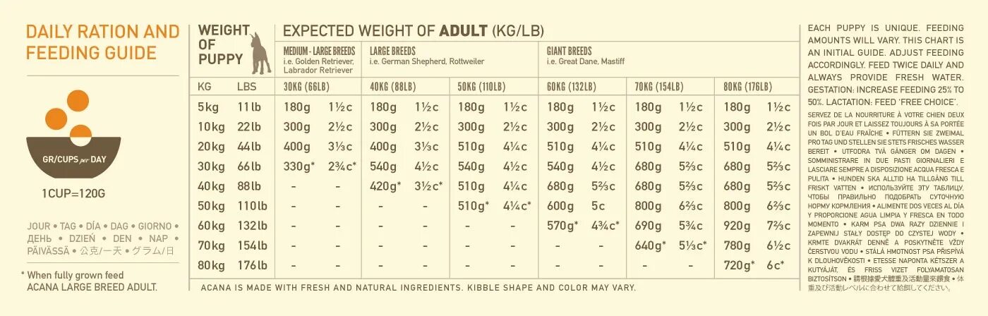 Размер медиум. Medium large размер. Размер x large на русский. Что значит large. Размеры контрацептивов таблица.