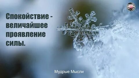 Величайшее проявление силы