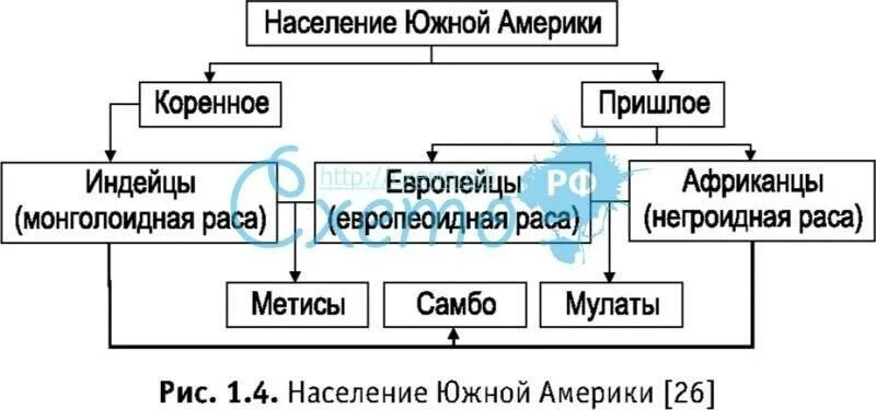 Схема населения Южной Америки 7 класс. Население Южной Америки 7 класс география таблица. Расовый состав населения Южной Америки схема. Население Южной Америки таблица. Пришлое население америки