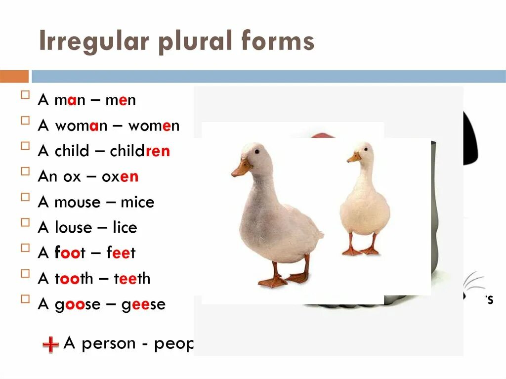 Irregular plural forms. Plural forms исключения. Plural forms of Nouns. Singular and plural Nouns исключения.