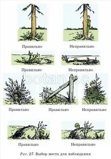 Позиции наблюдения