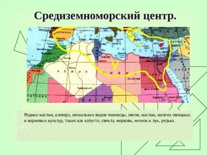 Средиземноморский центр растения