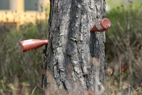 Как погубить дерево