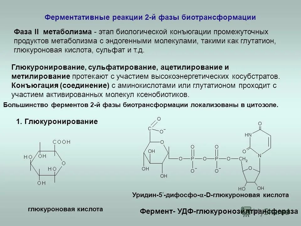 Фазы g1 в фазу s клеточного цикла. Схема работы сервопривода. Белакис 2 фаза. Образование тромбина происходит под влиянием. G1 в фазу s клеточного цикла,.