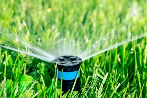 Watering w