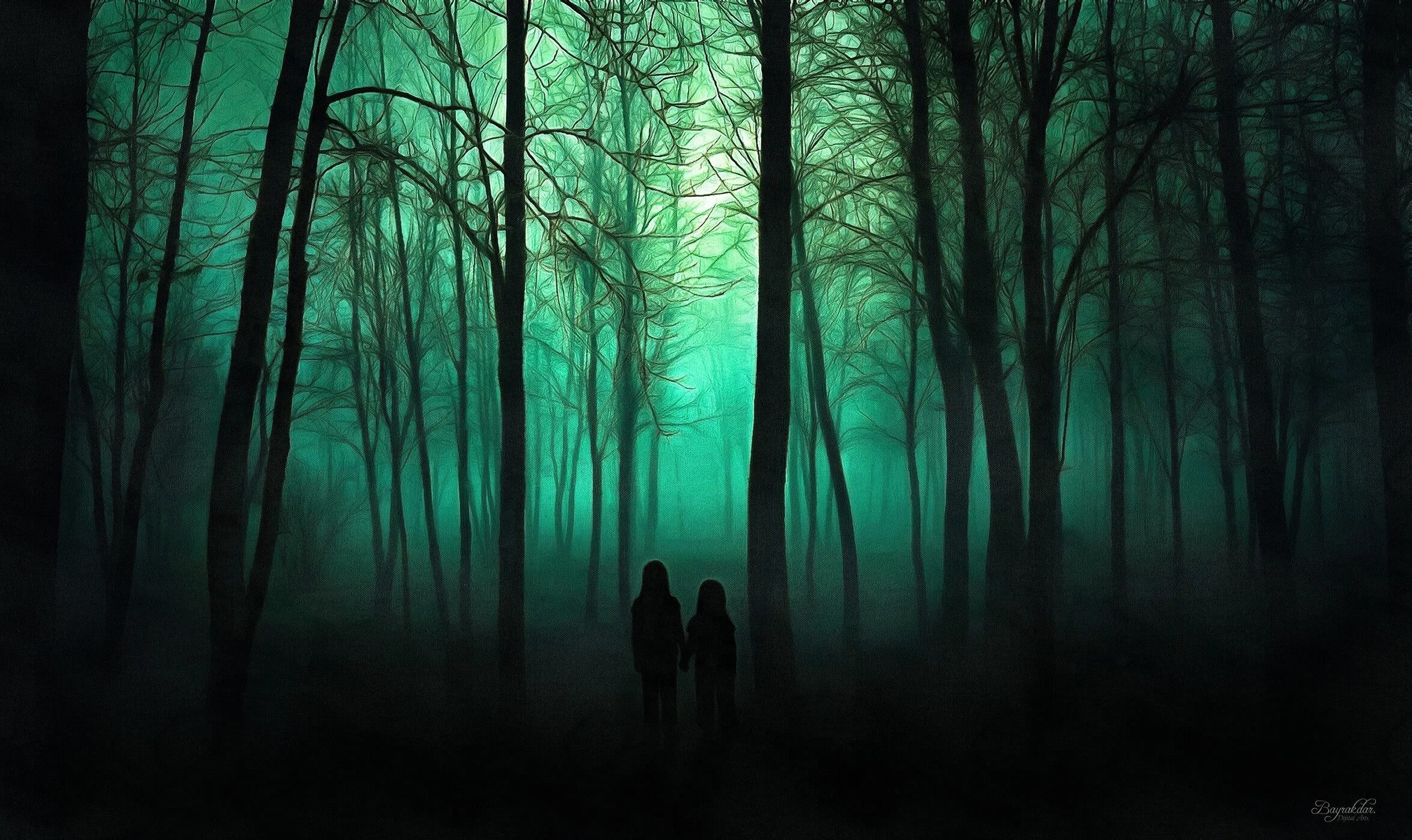 Collection dark forest. Темный лес. Темный лес. Страшный лес. Страшный лес.