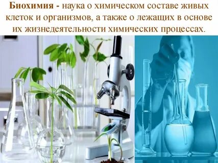Наука изучающая химический состав