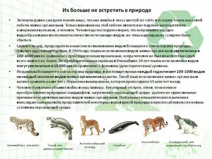 Изчезают или исчезают