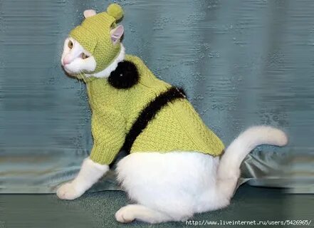 Вязание для кошек