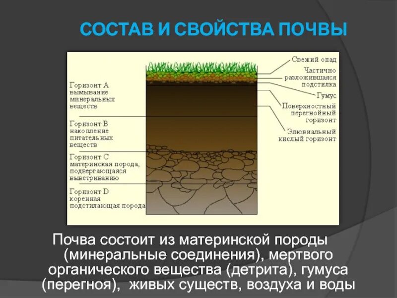 Почва ее состав, структура и свойства. Гумус почвы схема. Состав почвы. Состав и строение почвы