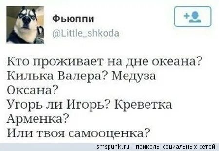 Кто не проживает на дне океана ответы