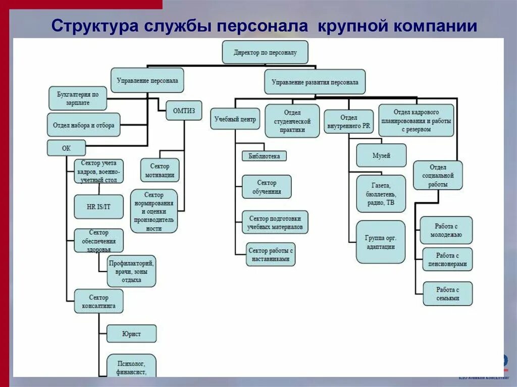 Дирекция ответственность