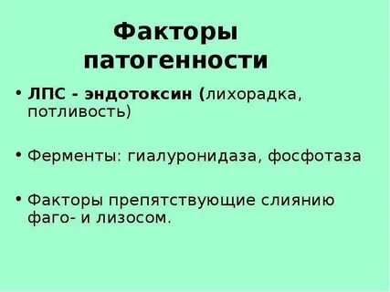 Возбудитель ку лихорадки