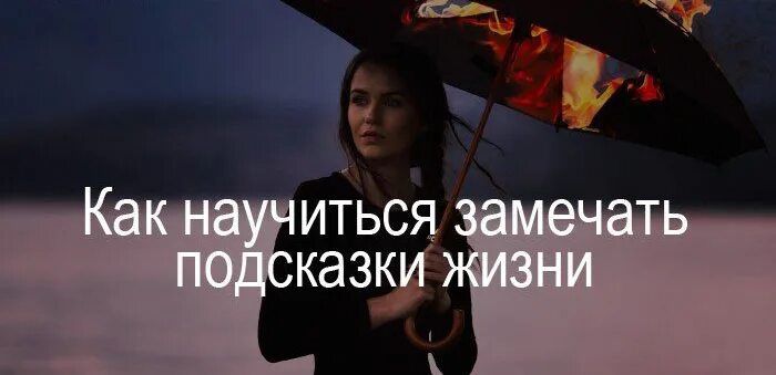 Радость в мелочах цитаты. Моменты счастья. Научиться замечать. Замечать прекрасное вокруг. Замечать подсказки жизни.