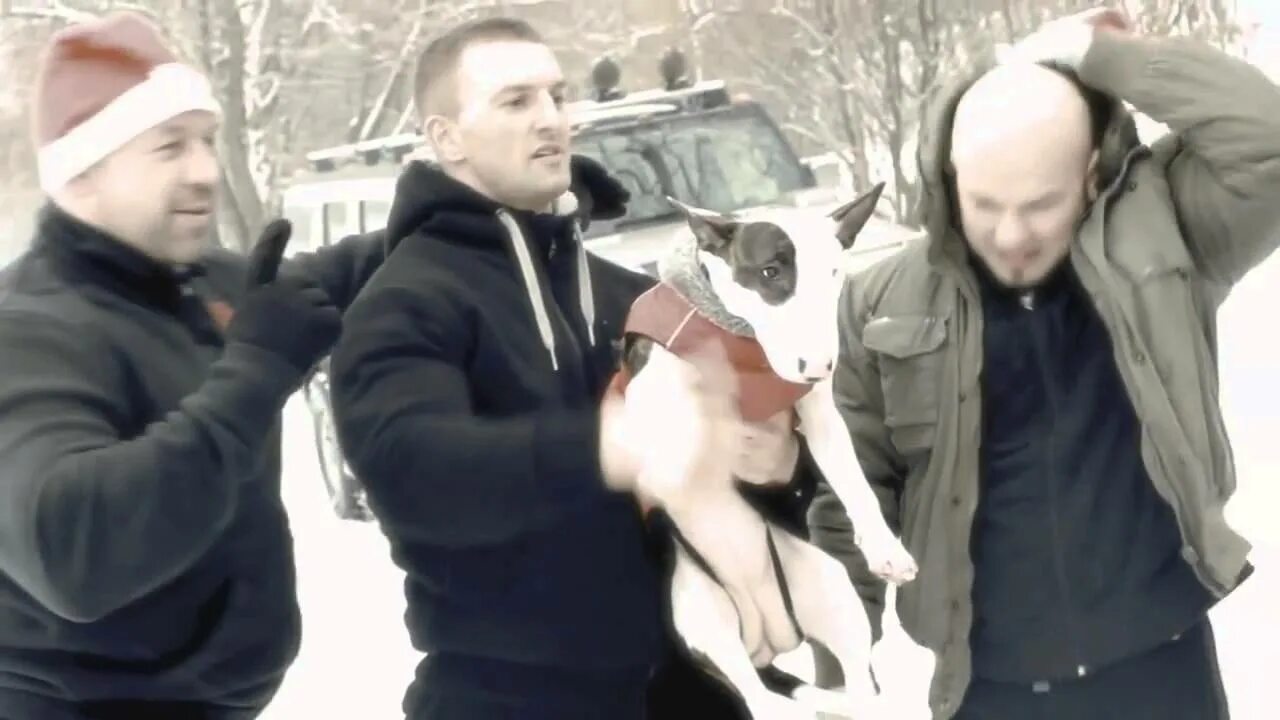 Программа деду. По программе дедушки мороза. по программе дедушки мороза 2025. по программе дедушки мороза борьба. по программе дедушки мороза бокс.