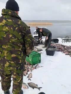 Кенигфишинг калининград