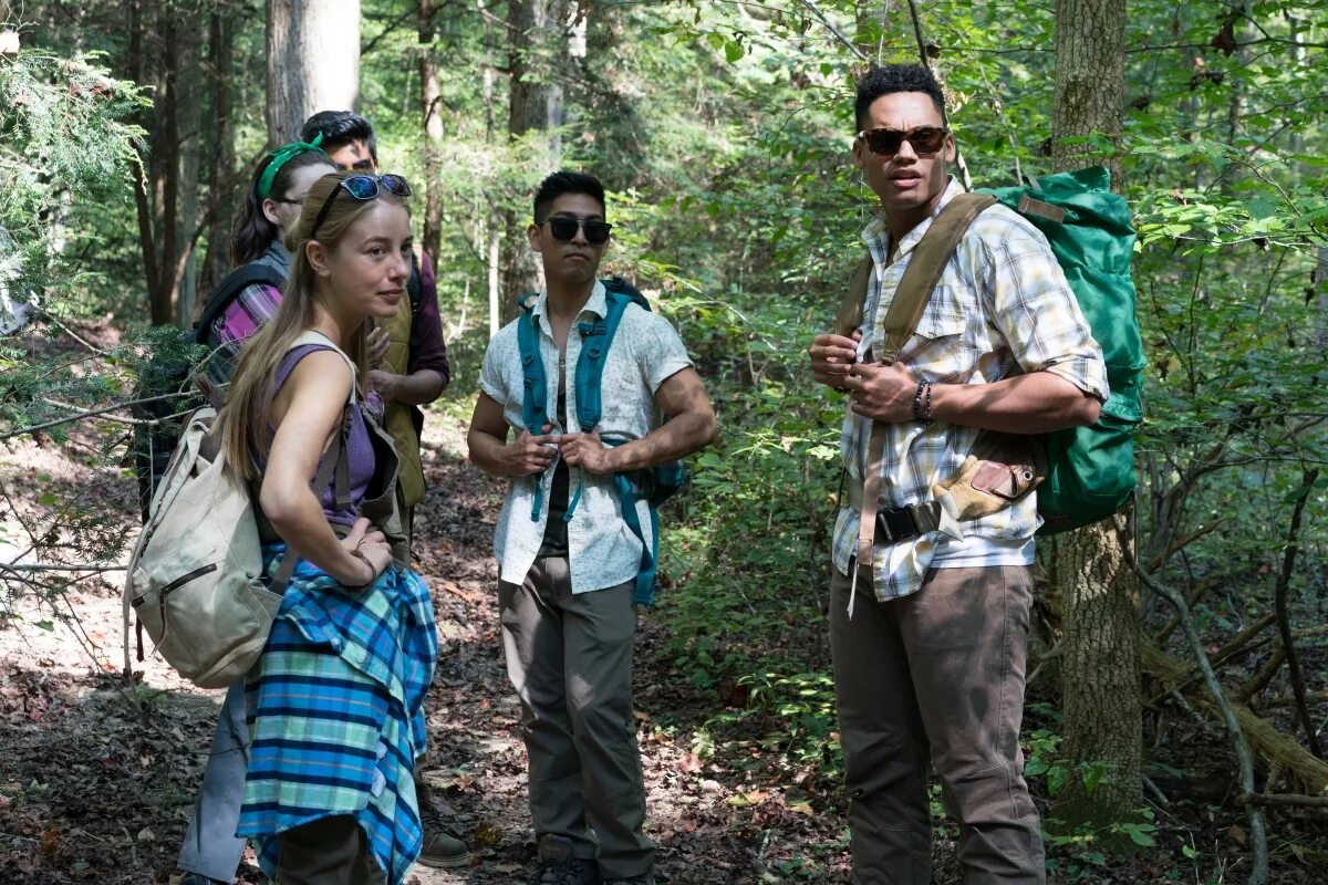 Wrong turn 1