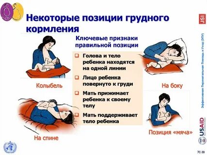 Как правильно на кормил