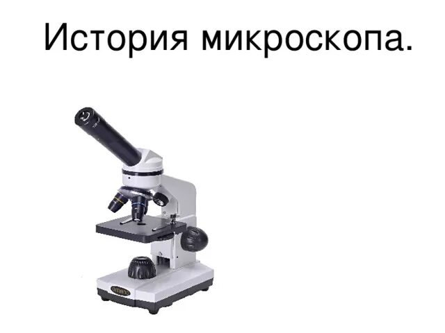 Исследовательская работа по теме "Что такое микроскоп"