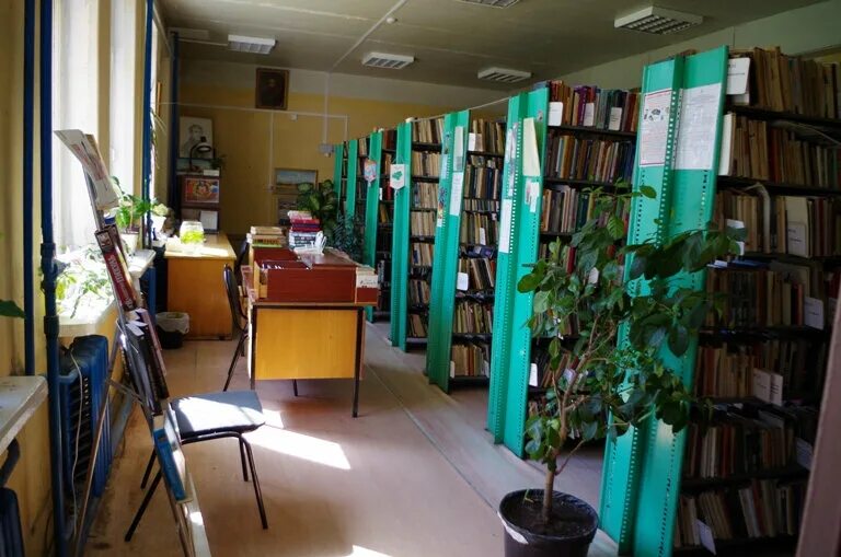 Поселковая библиотека. Советская библиотека. Белоомутская Сельская библиотека. Помещения библиотек советские.