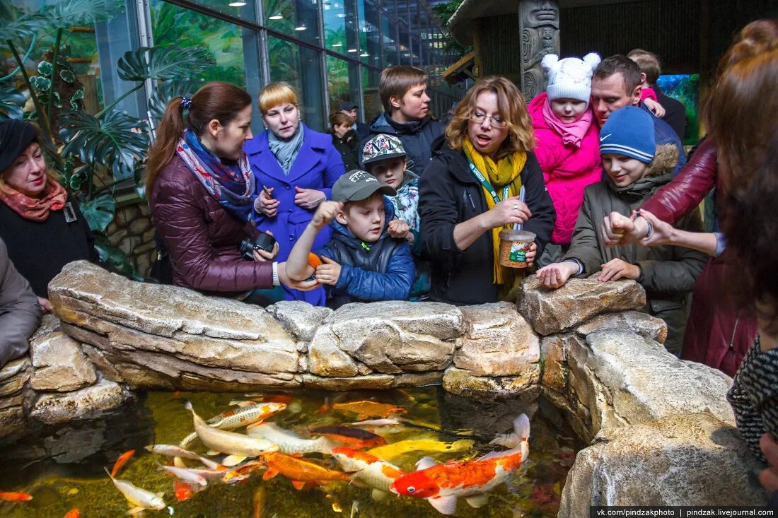 Прогулка в зоопарке. Калининградский зоопарк Калининград. Московский зоопарк экскурсия. Экскурсия зоопарк Калининград. Школьная экскурсия зоопарк.